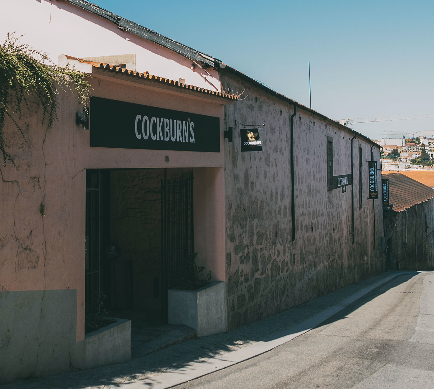 port wine caves tour